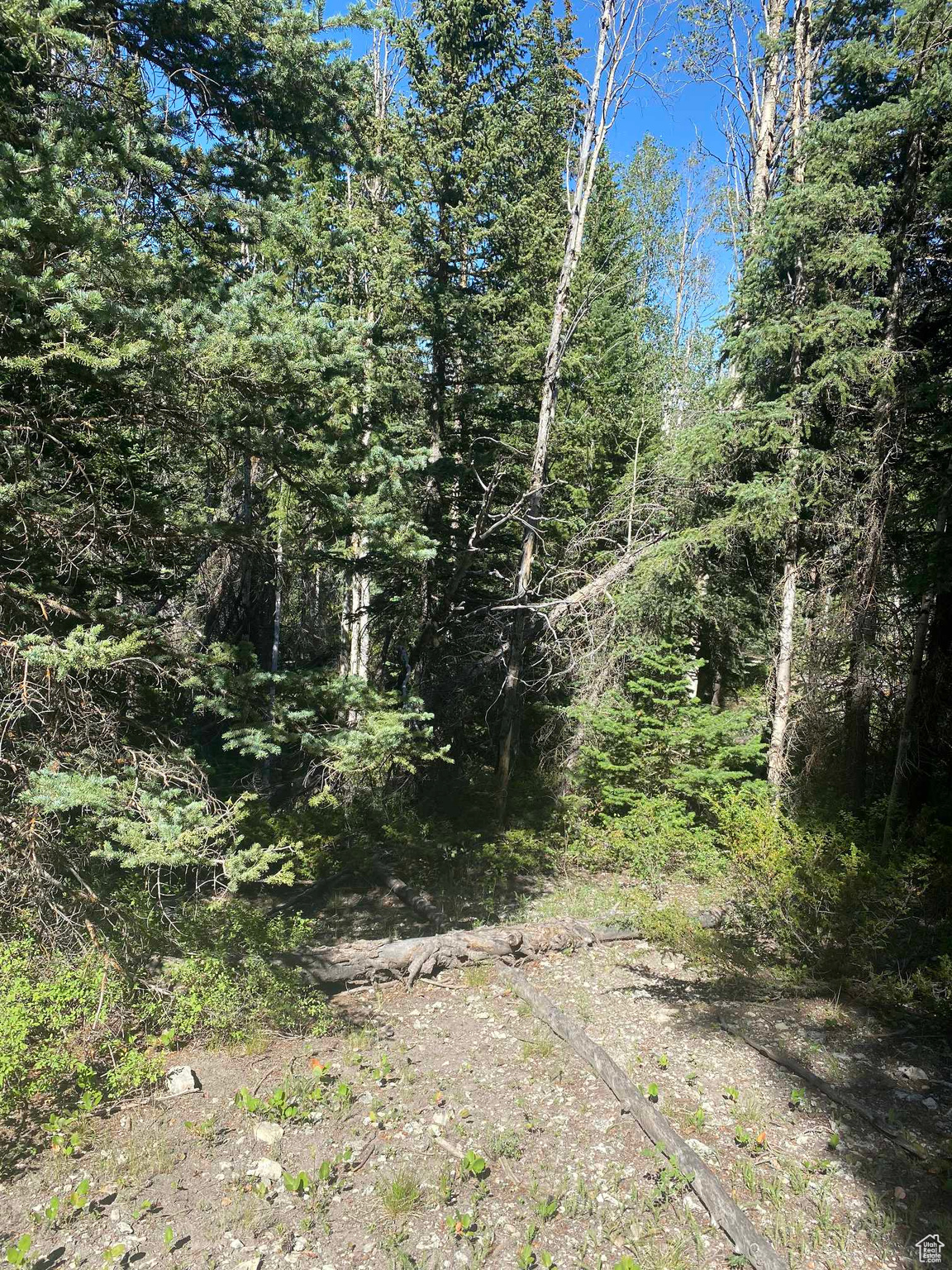main property photo 93
