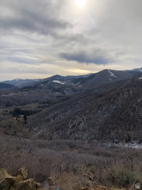 main property photo 55