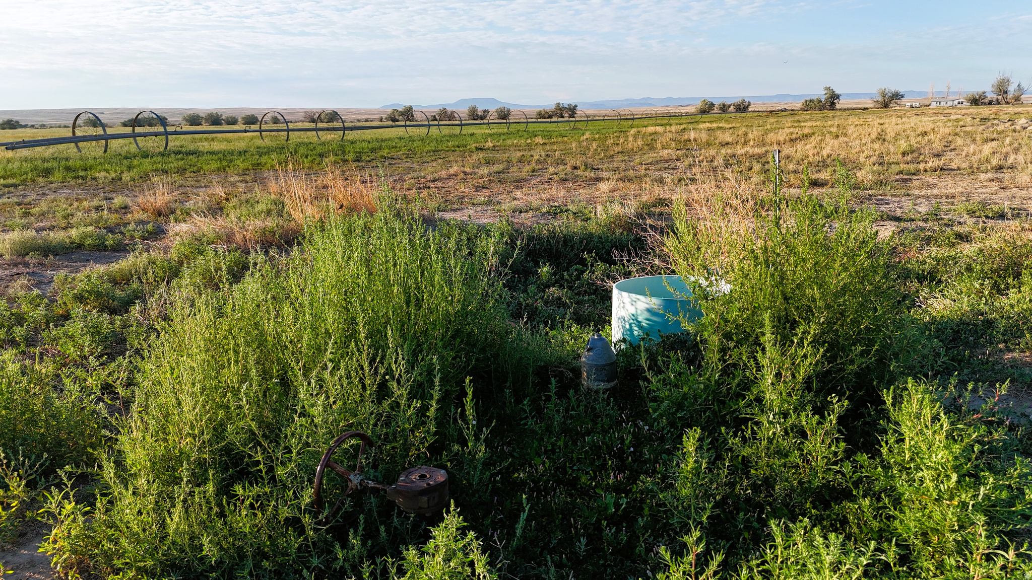 main property photo 53