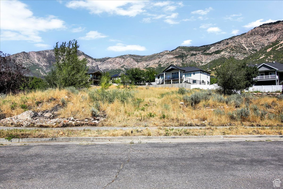 main property photo 6