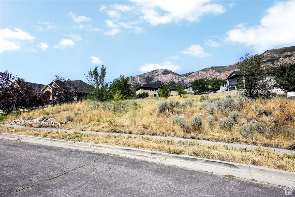 main property photo 7