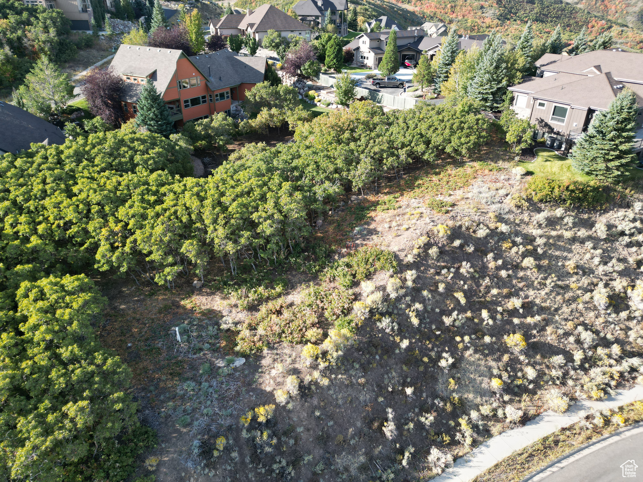 main property photo 10