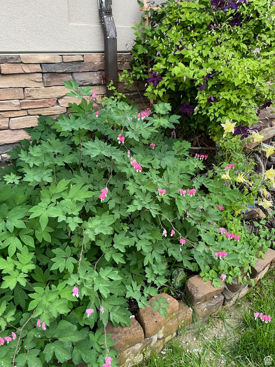 main property photo 67