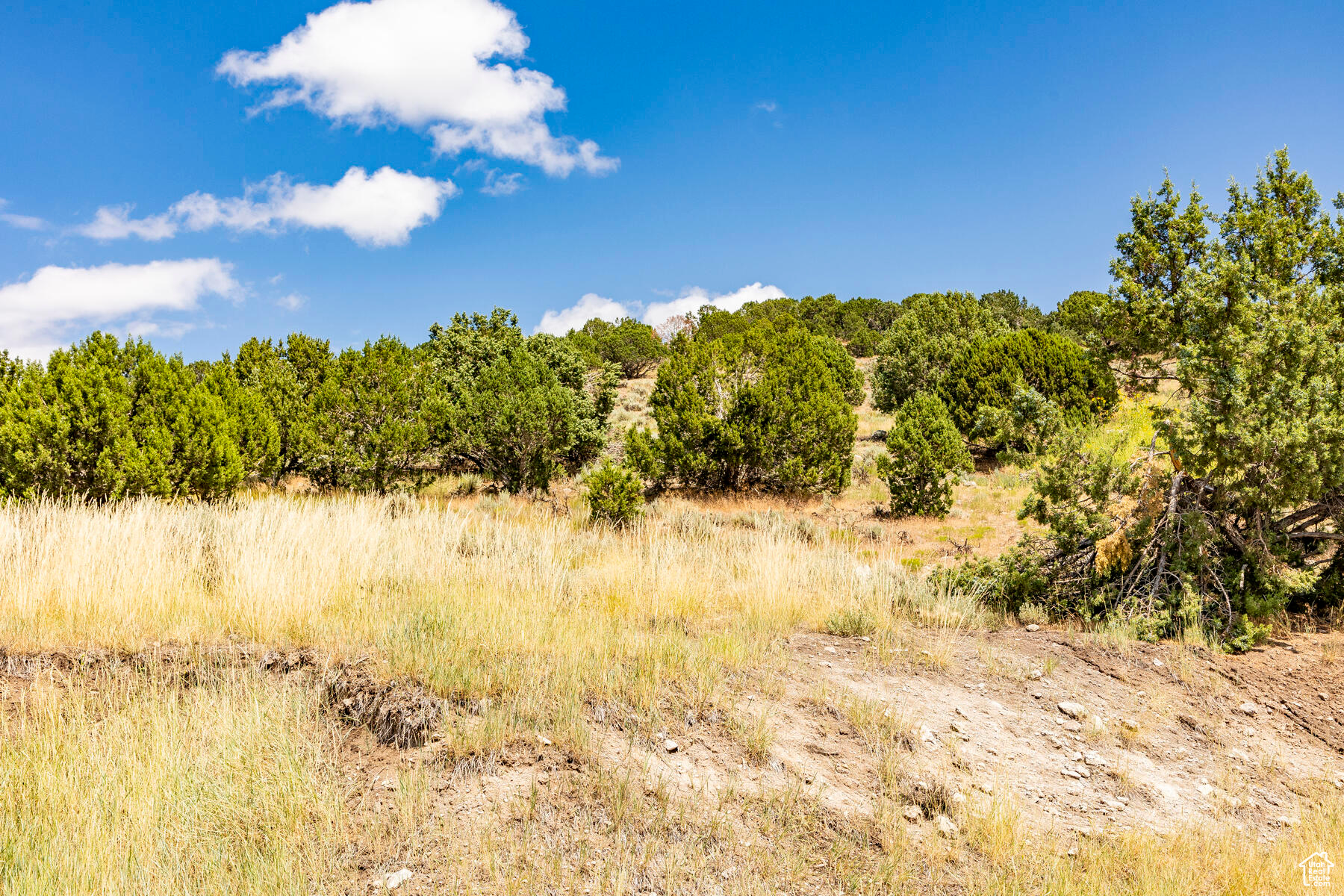 main property photo 59