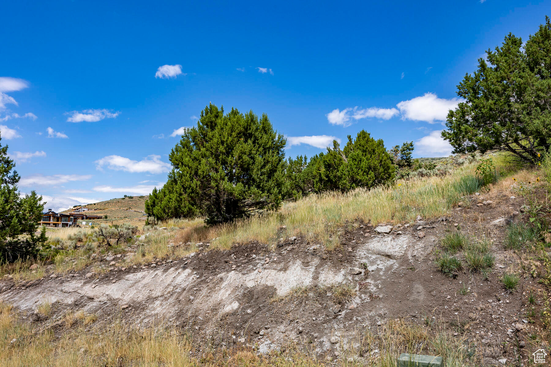 main property photo 61