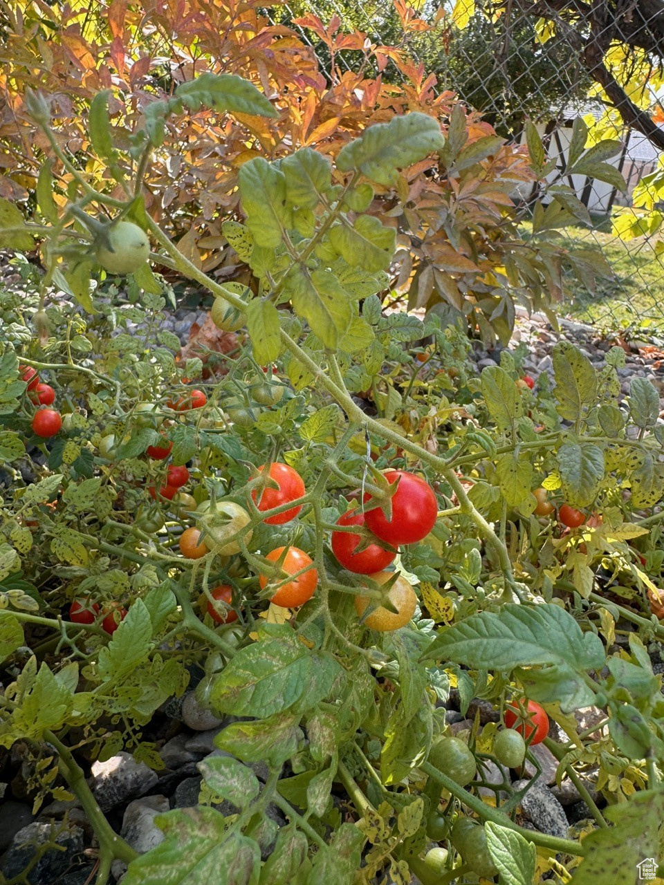 main property photo 46