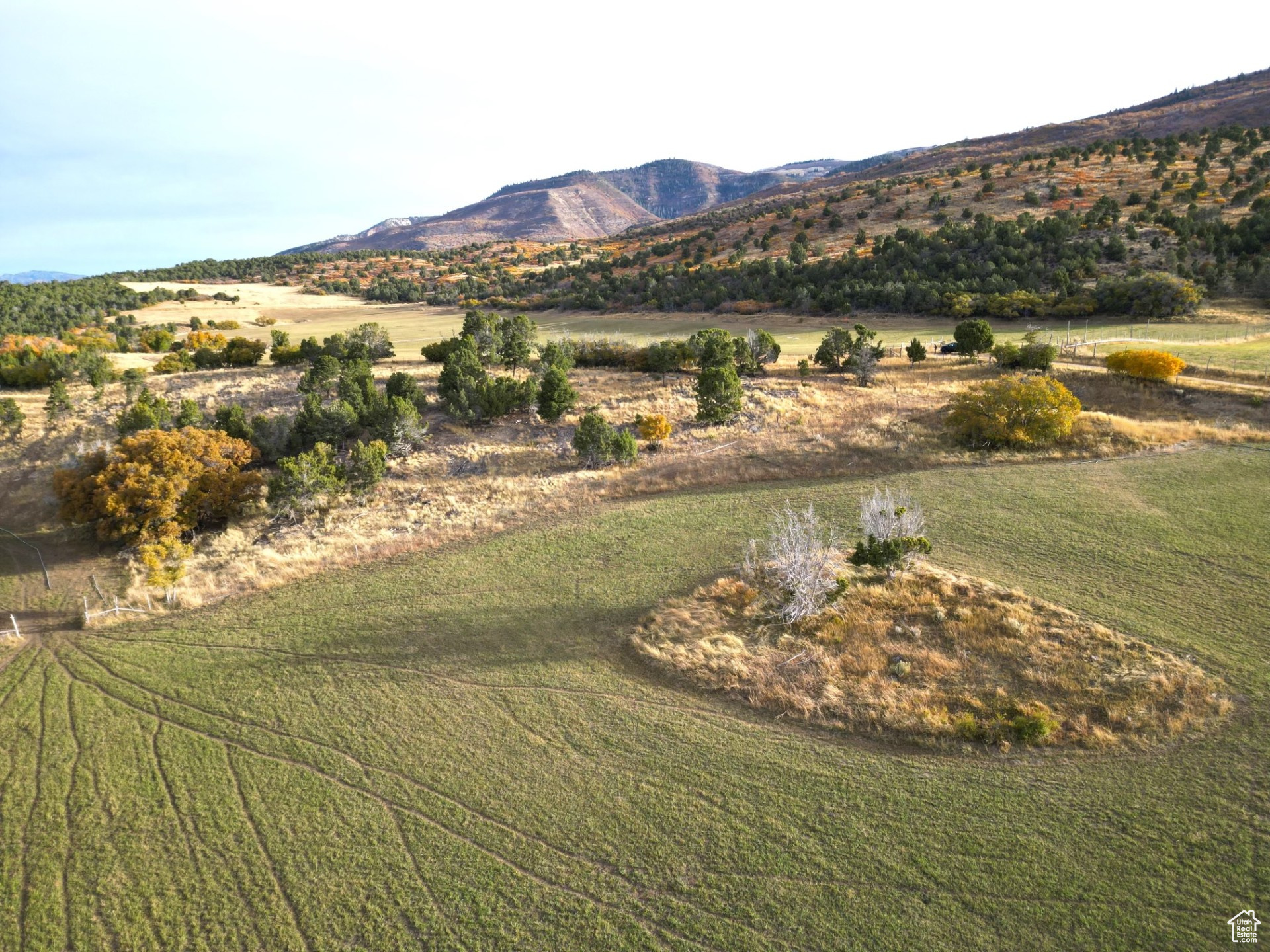 main property photo 9
