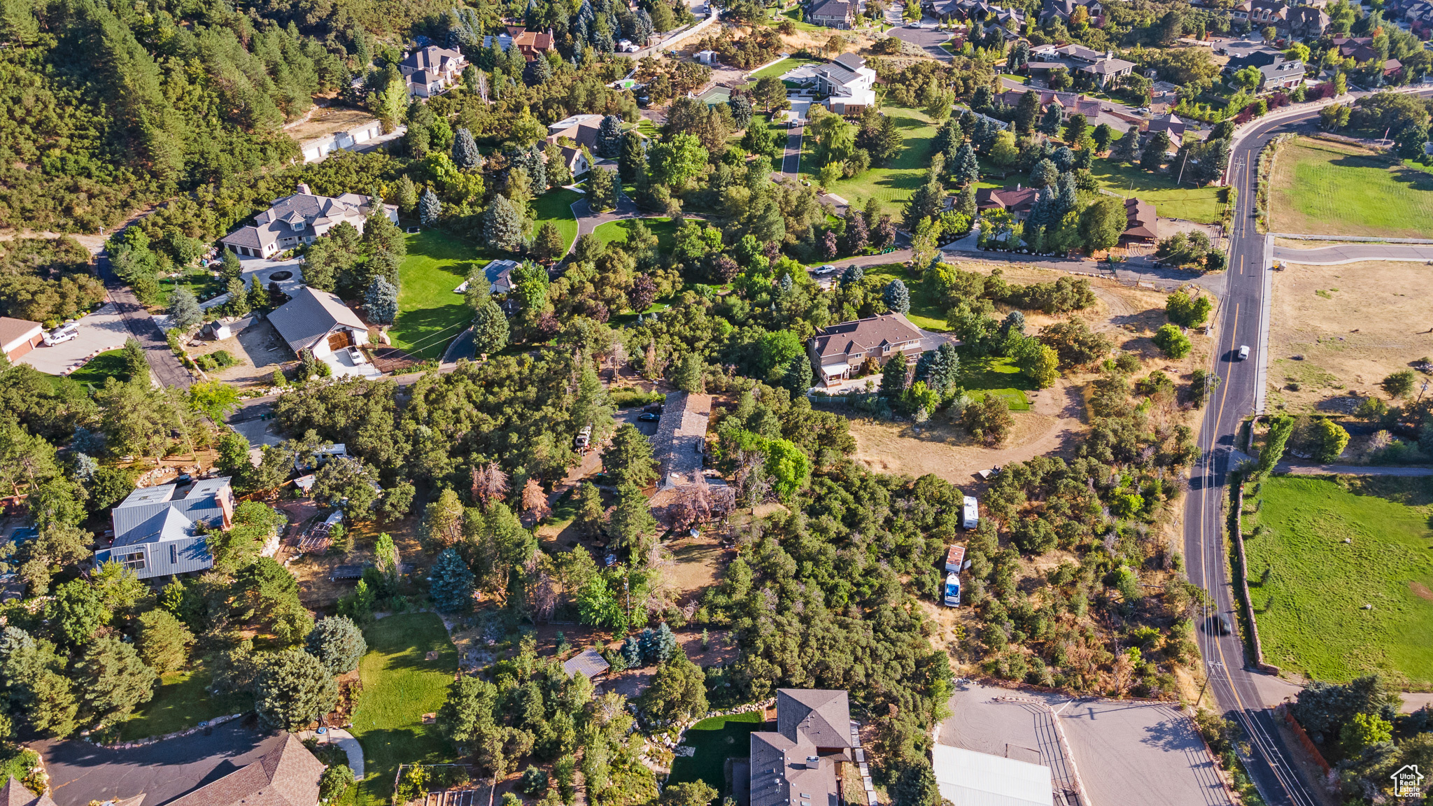 main property photo 42