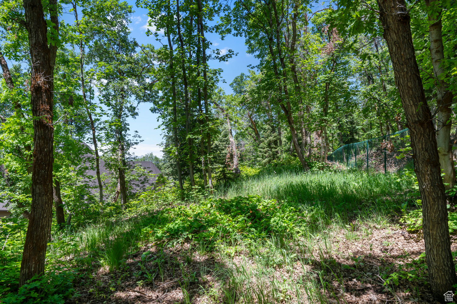 main property photo 73