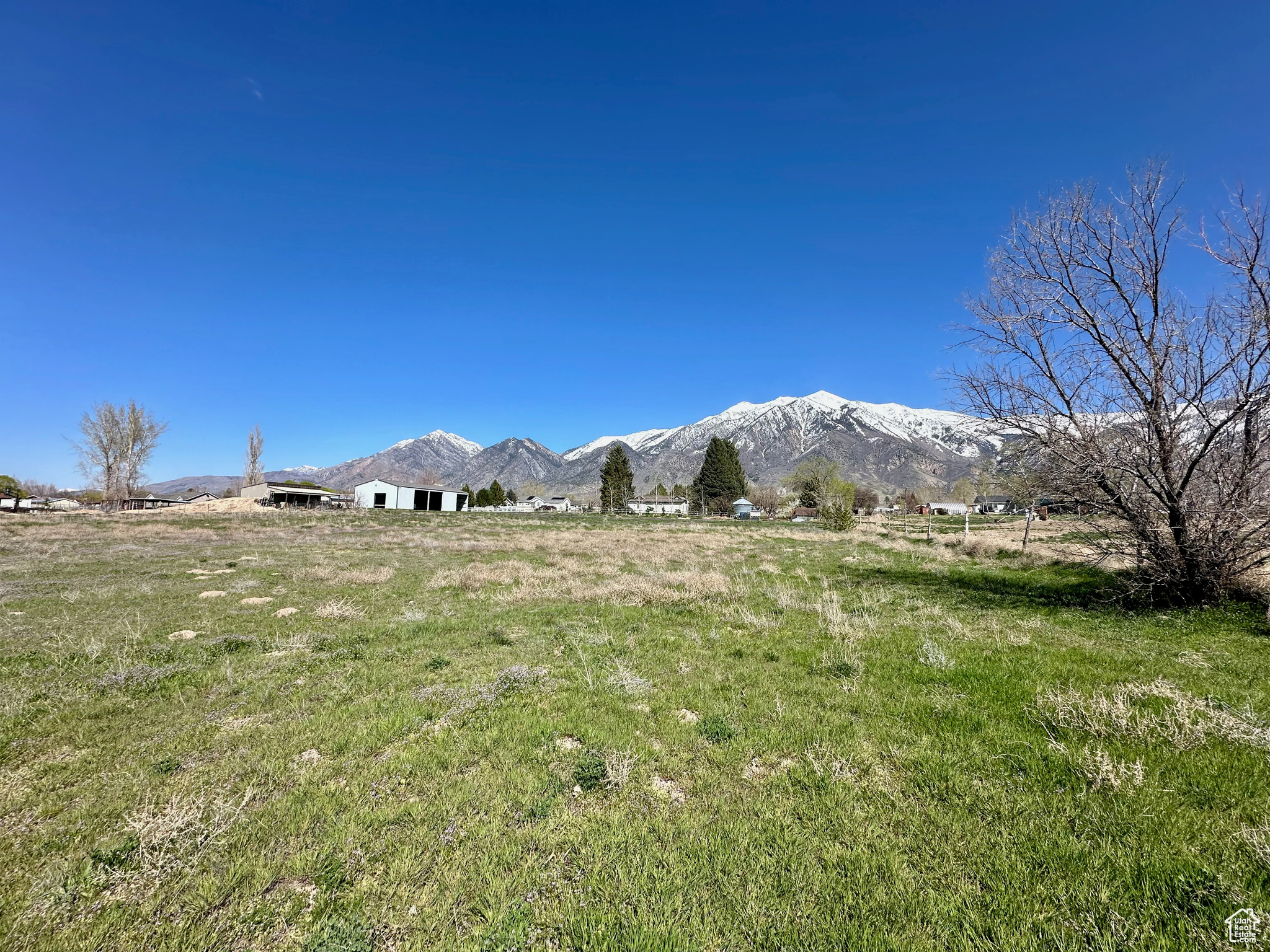 main property photo 10
