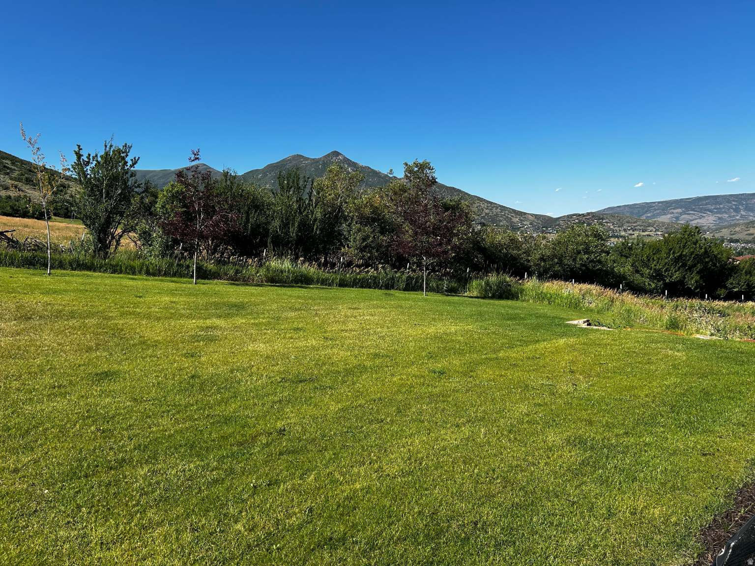 main property photo 53