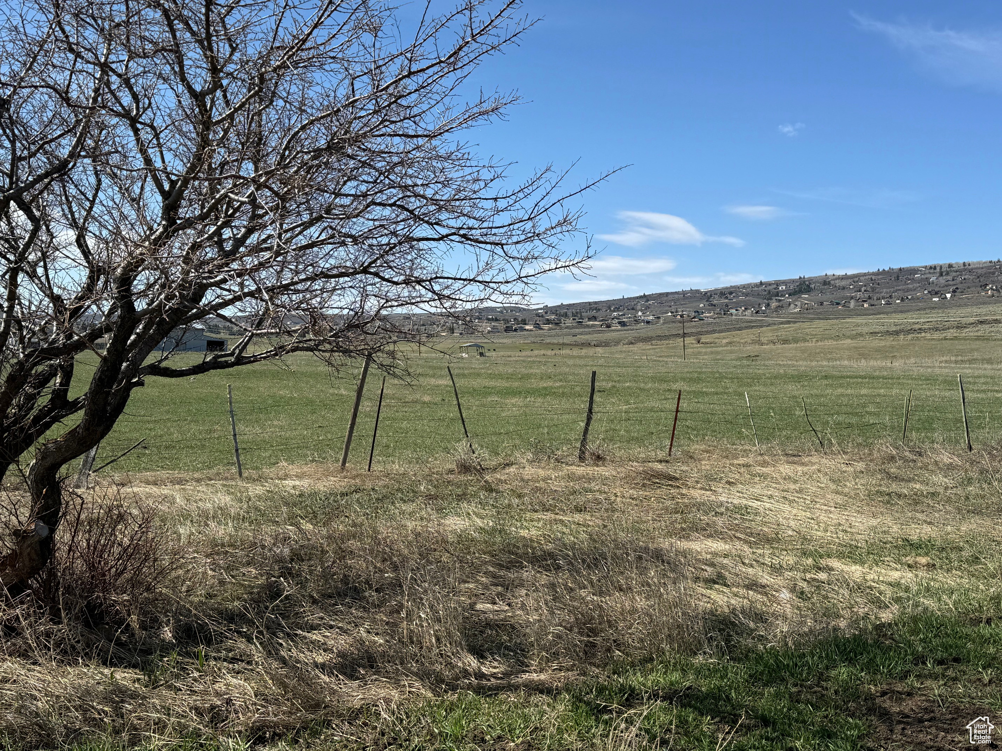 main property photo 55