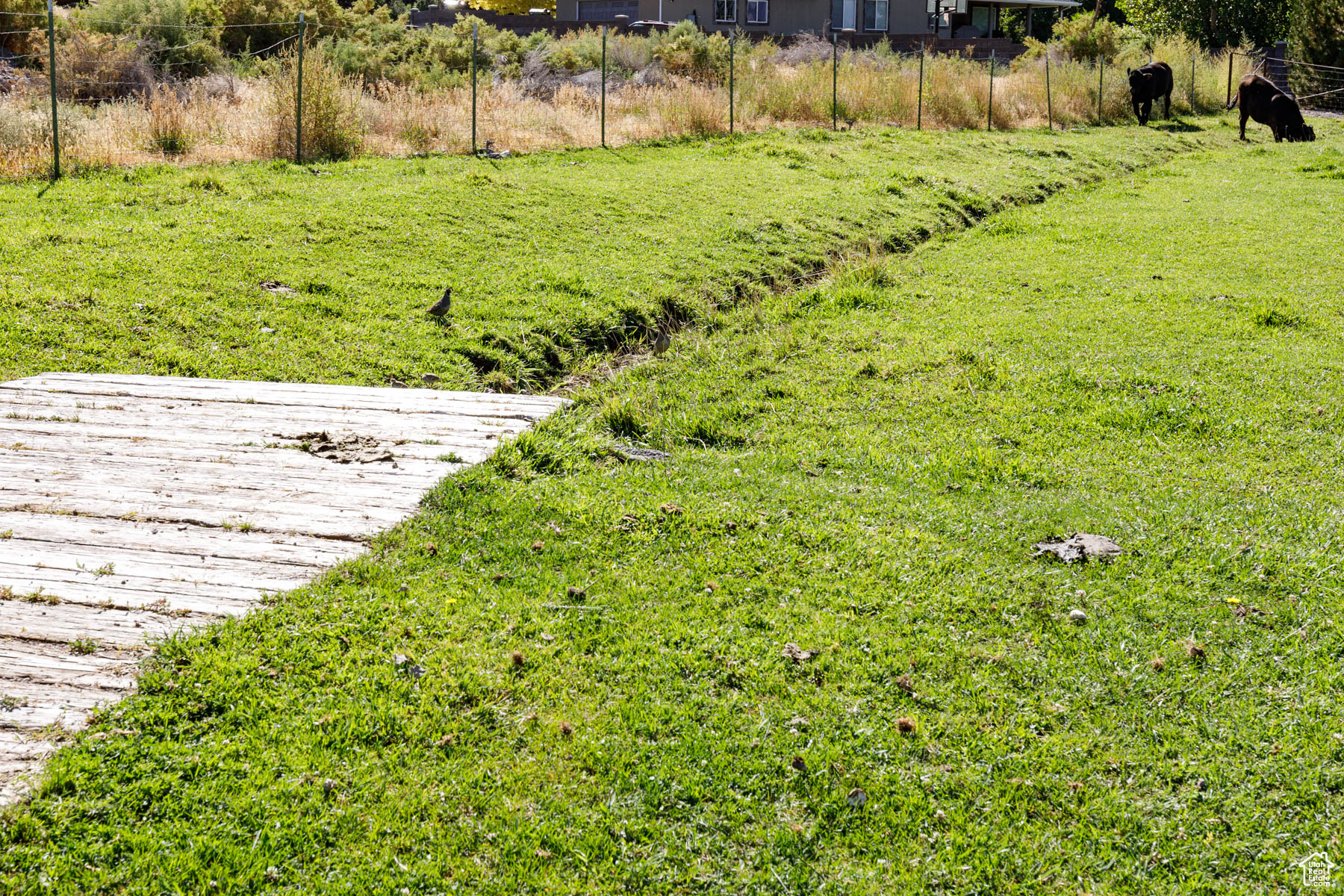 main property photo 87