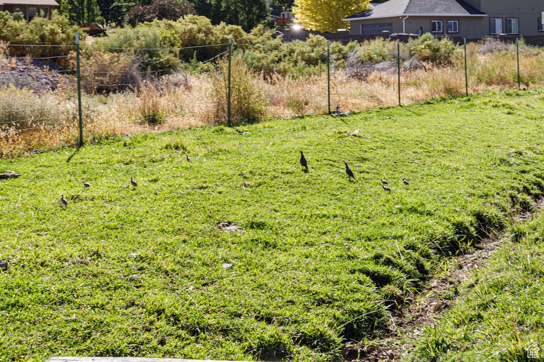 main property photo 88
