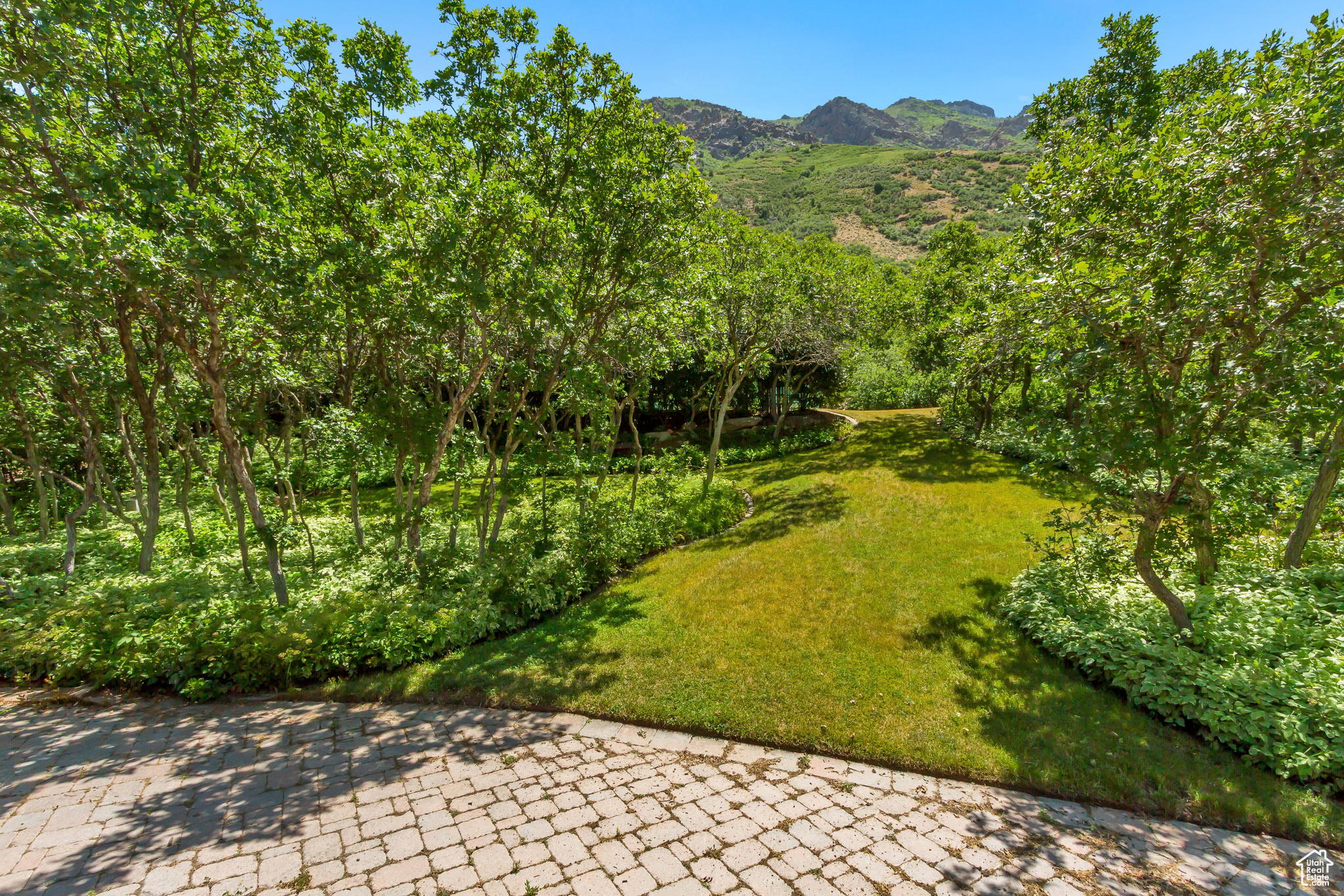 main property photo 100
