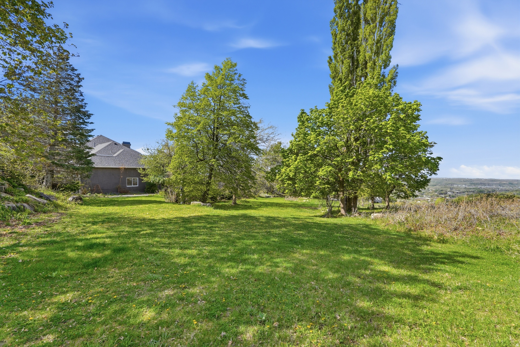 main property photo 42