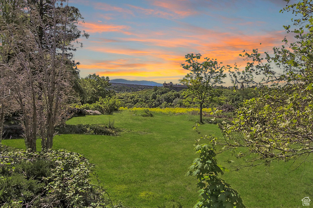 main property photo 52