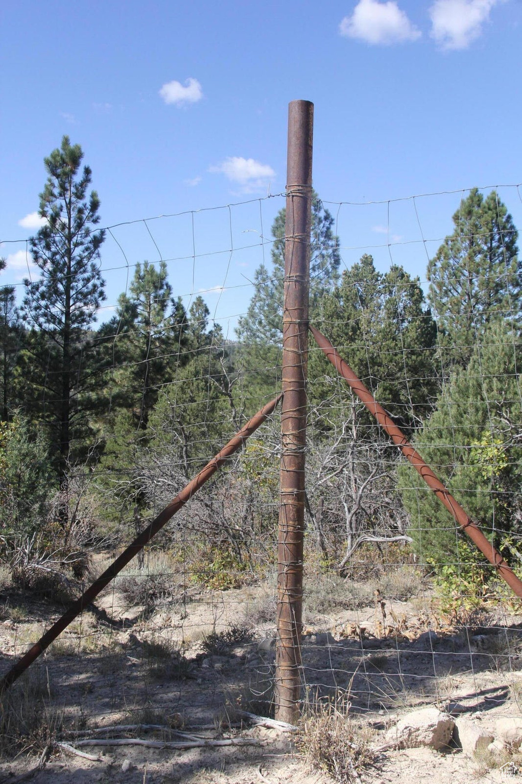 main property photo 9