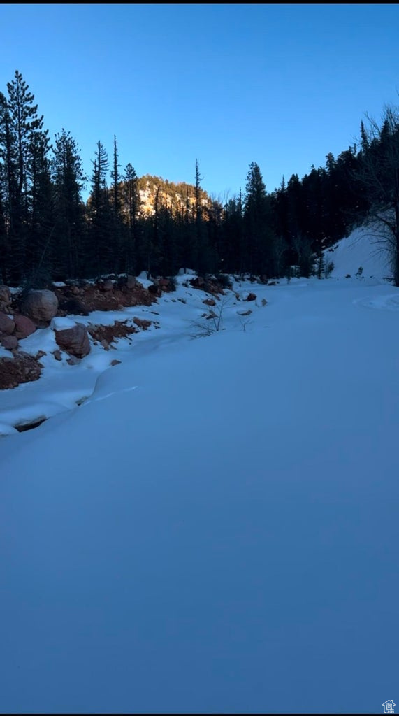 main property photo 24
