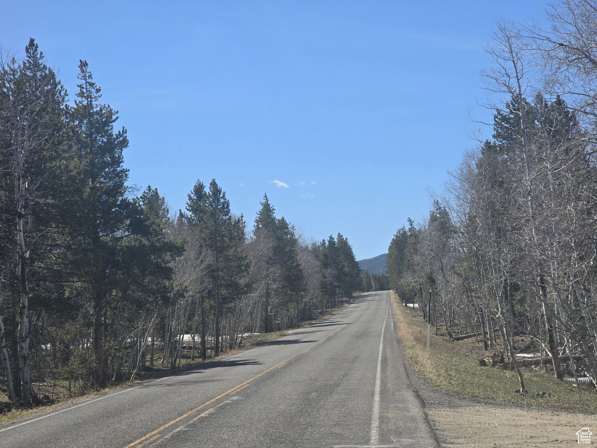 main property photo 50