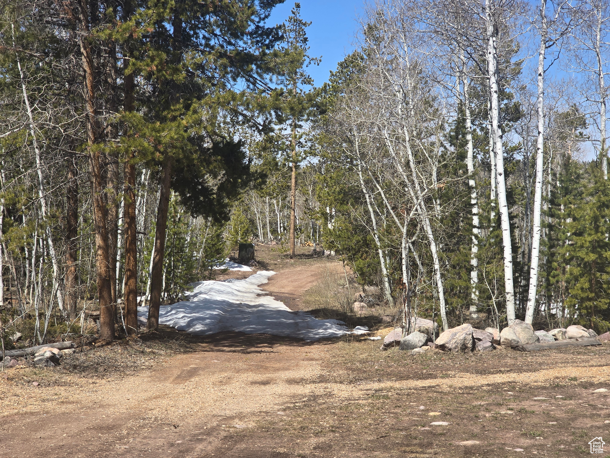 main property photo 61