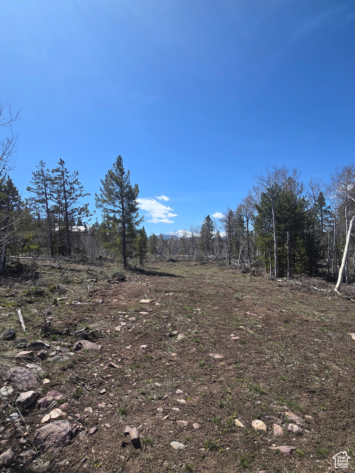 main property photo 68