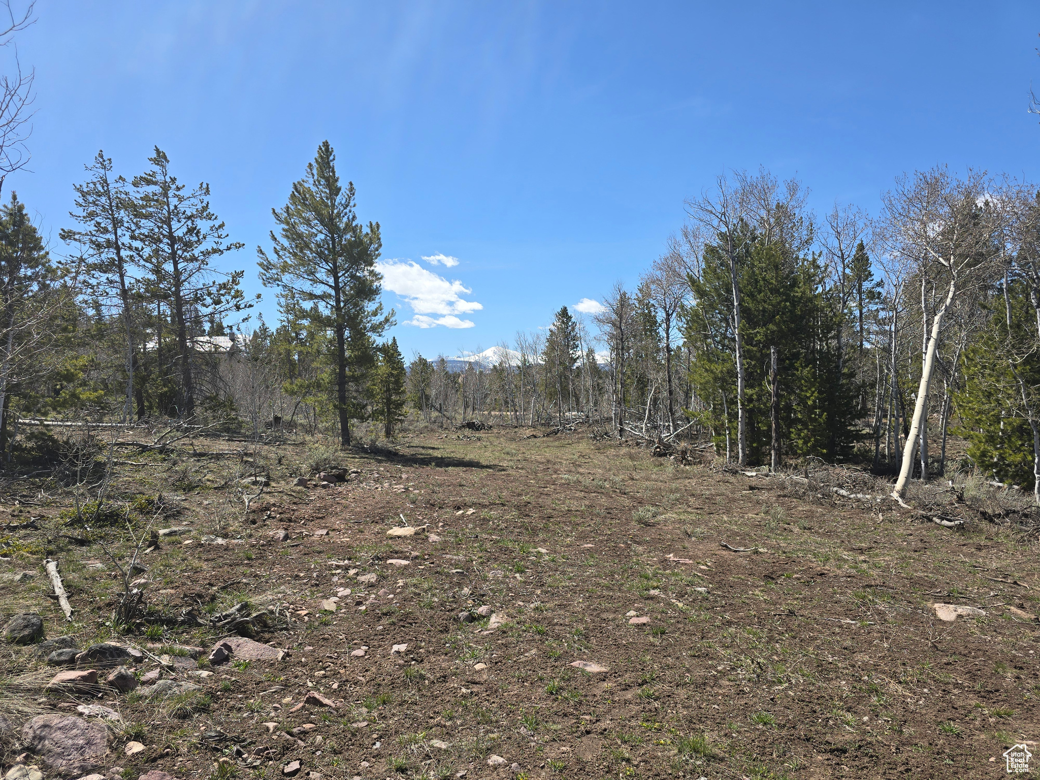 main property photo 70