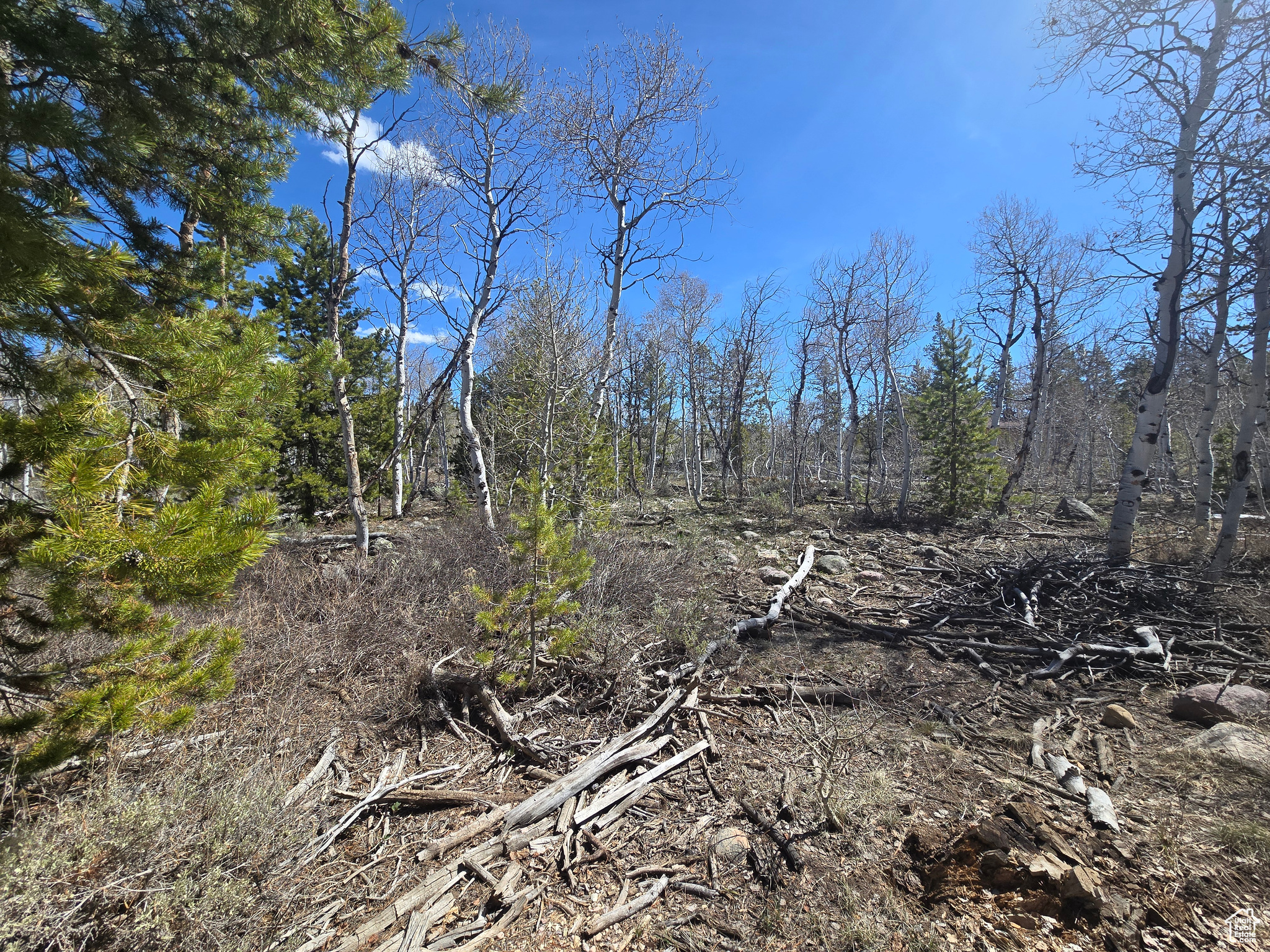 main property photo 71