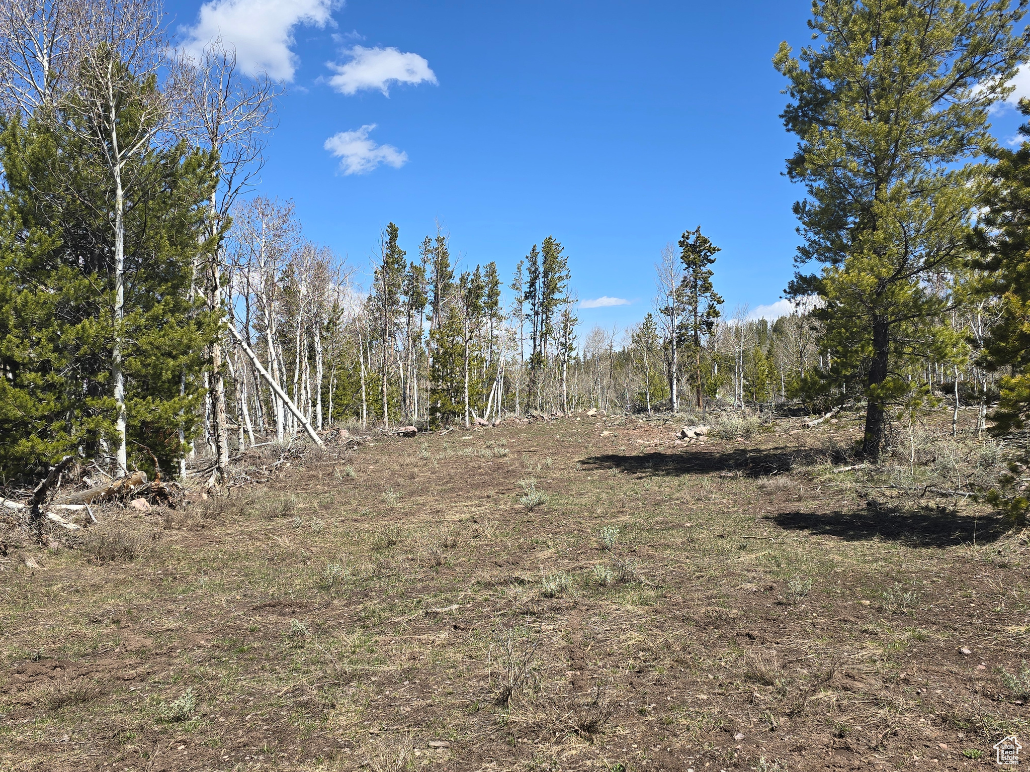 main property photo 74