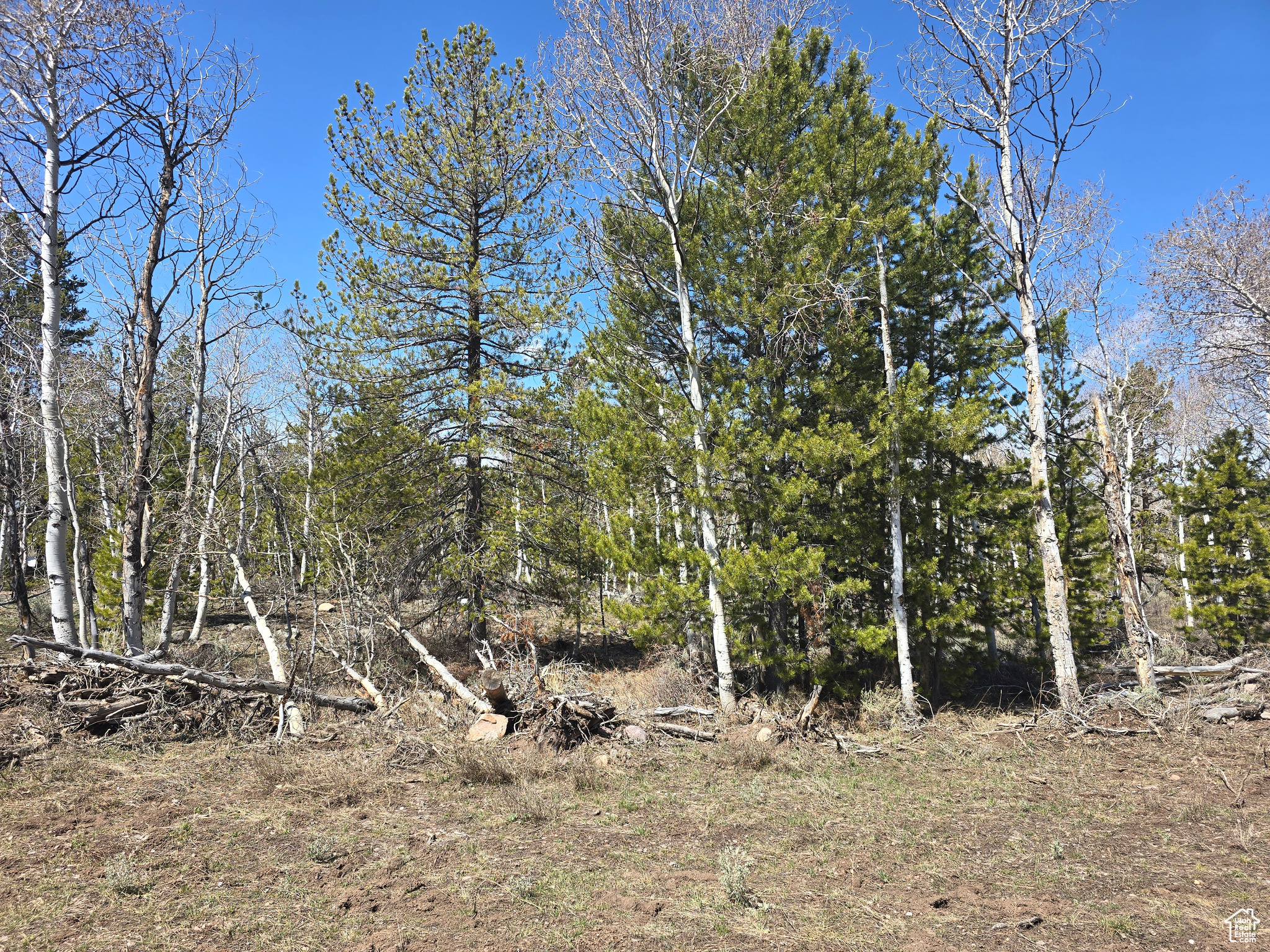 main property photo 75