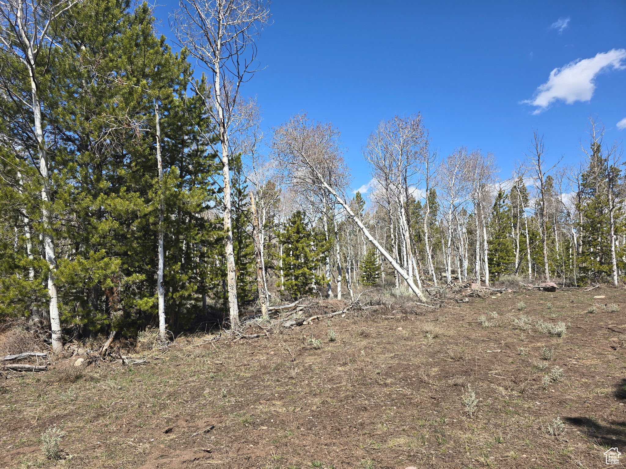 main property photo 76