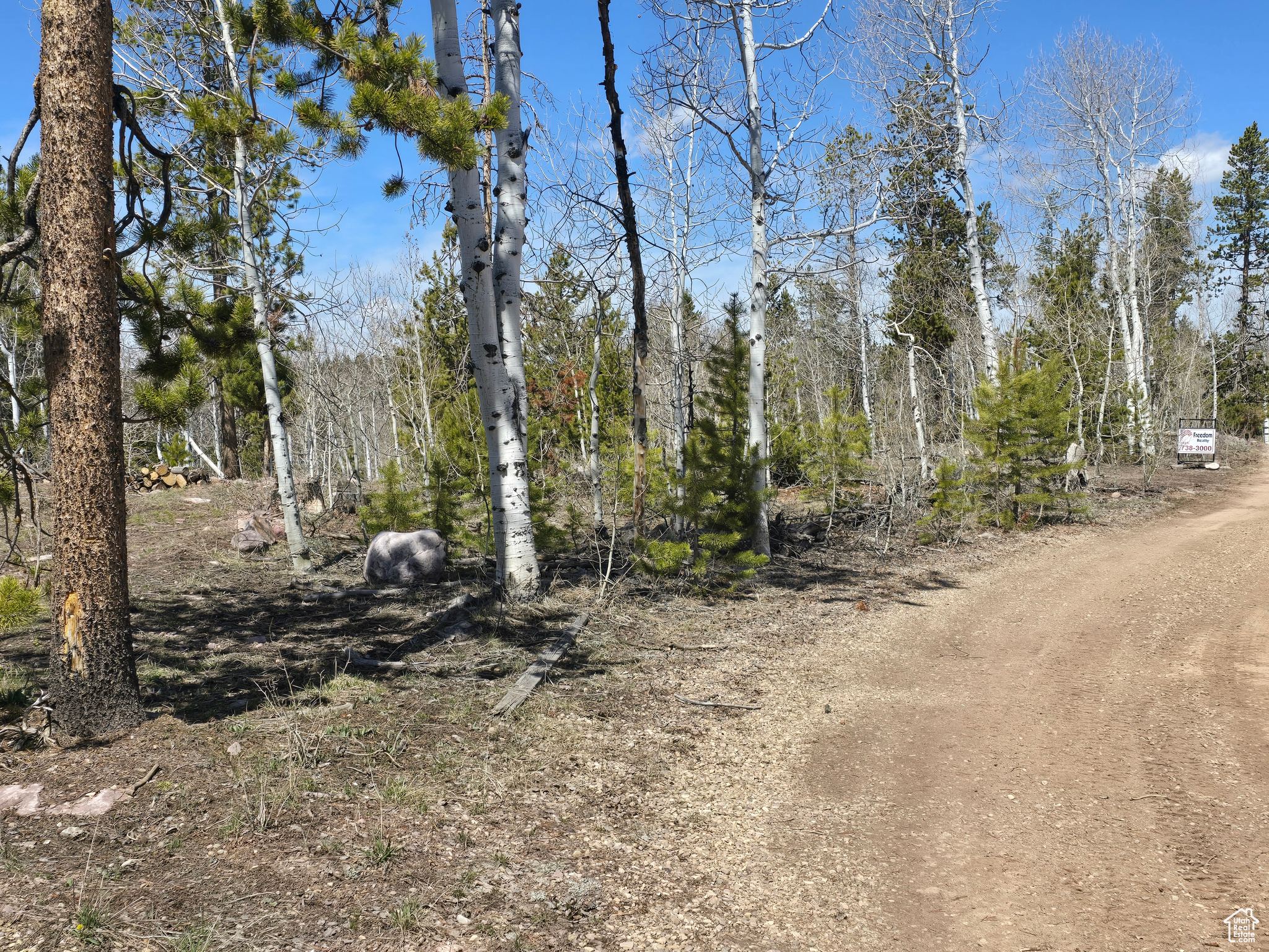 main property photo 81