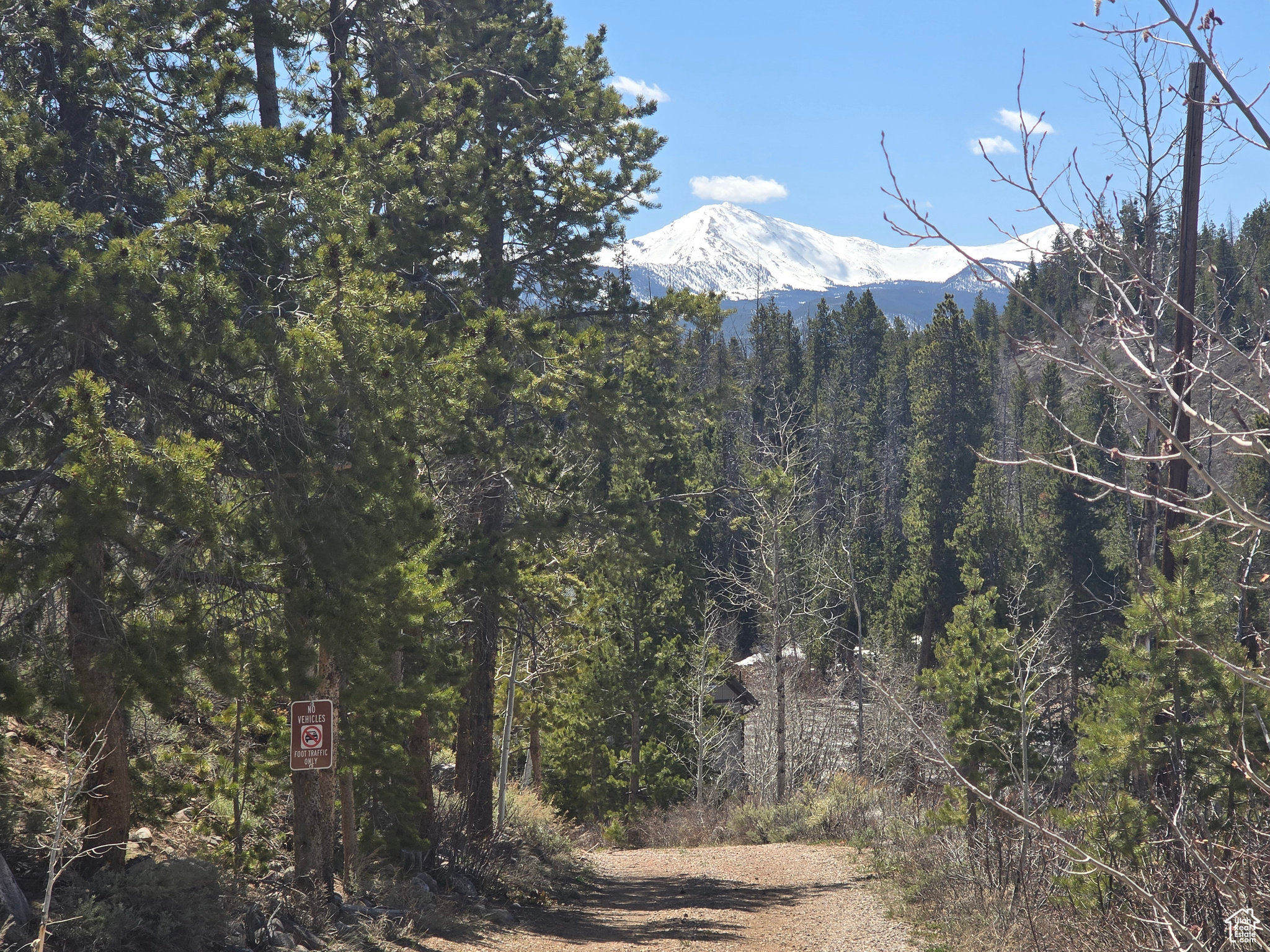 main property photo 86