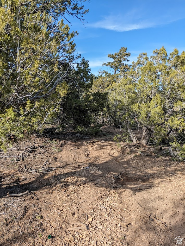 main property photo 19