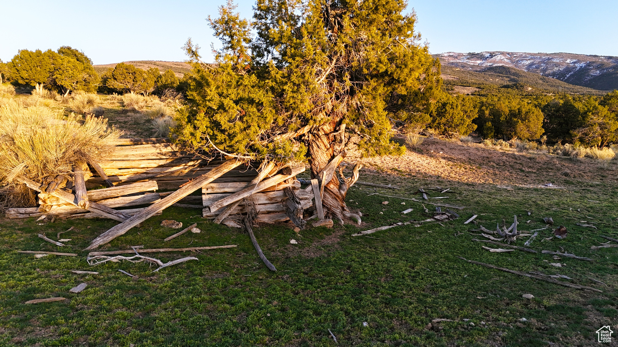 main property photo 29