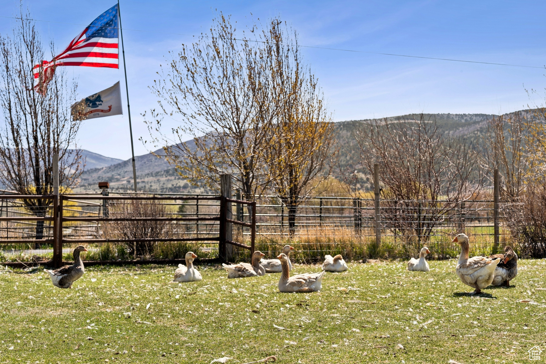 main property photo 34