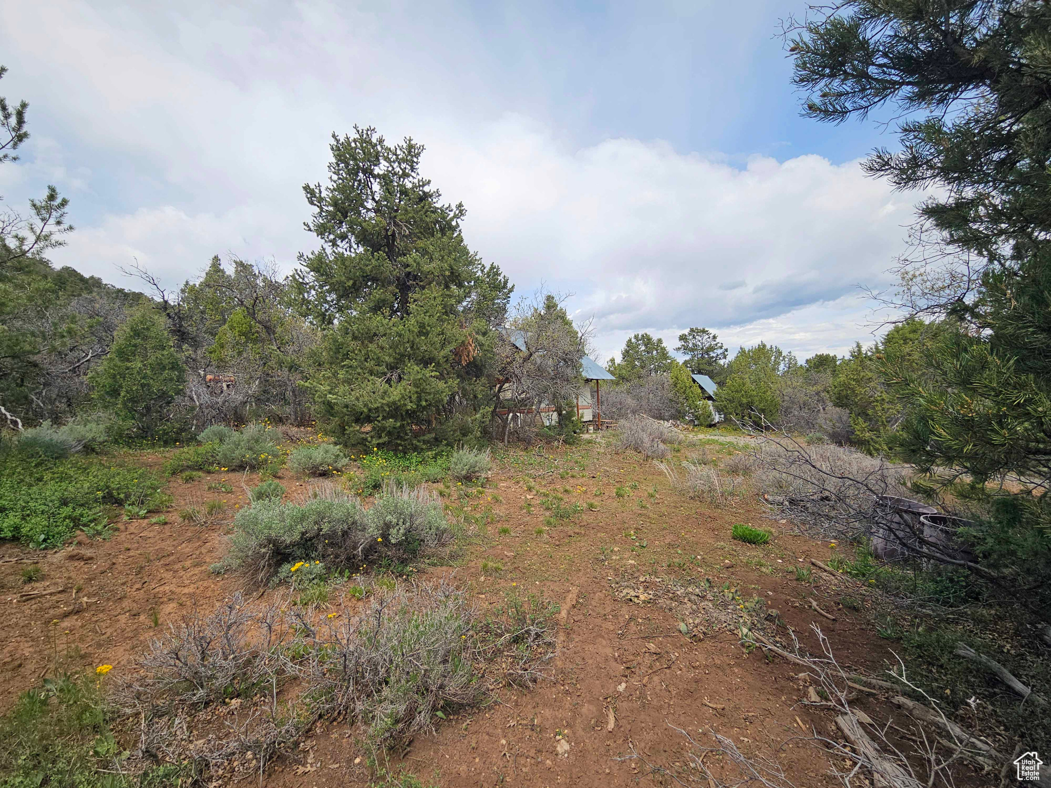main property photo 11
