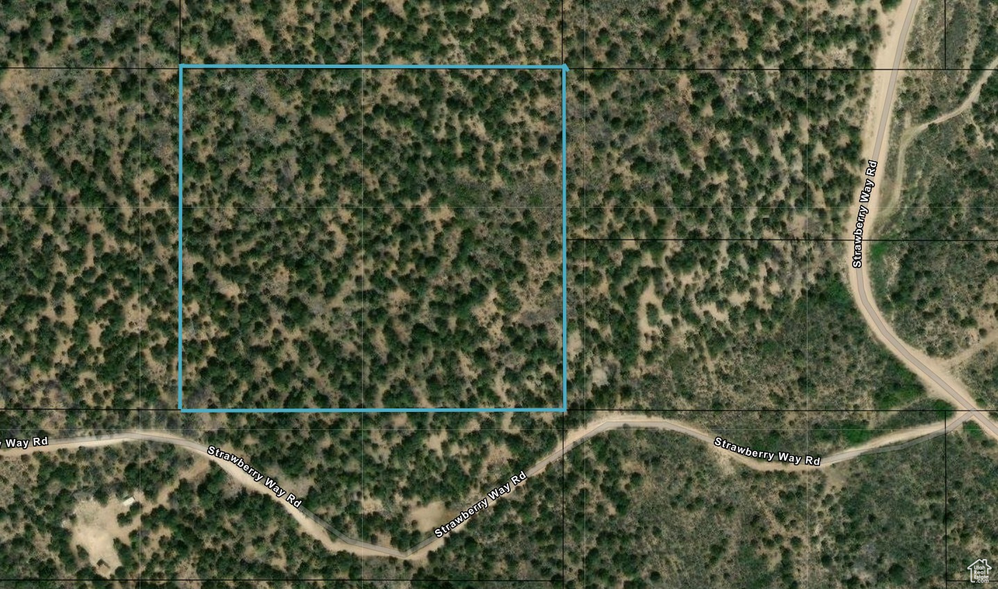 main property photo 14