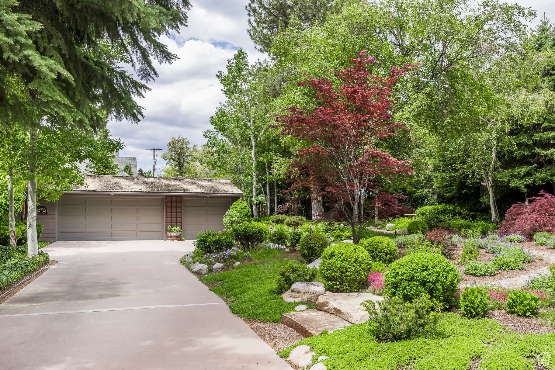 property viewer photo 4