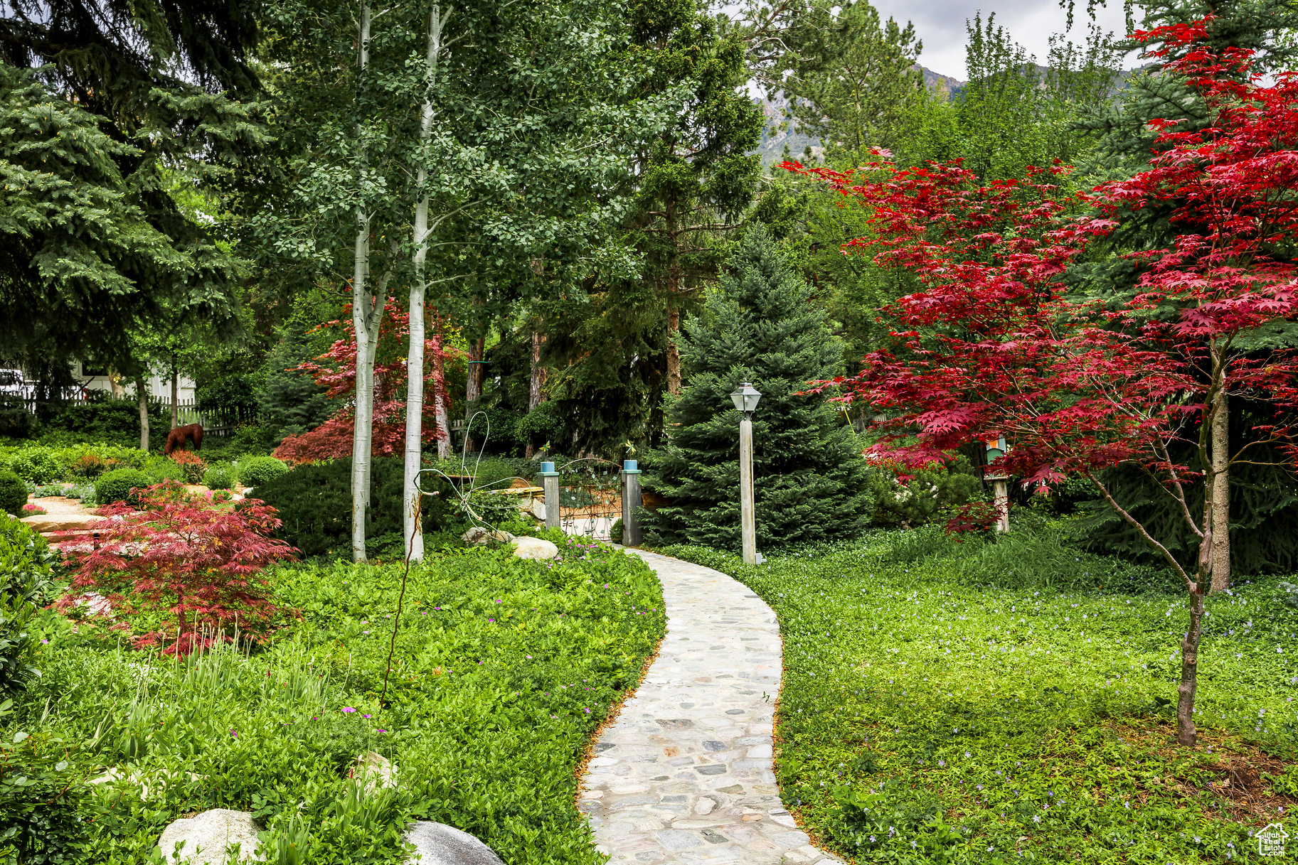 property viewer photo 56