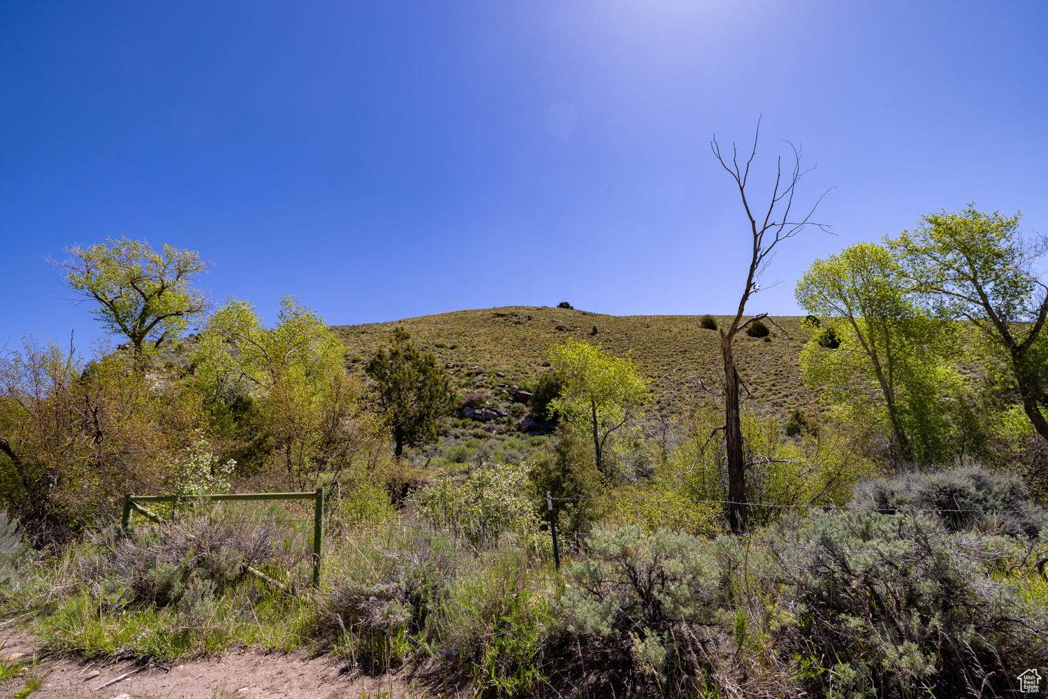 main property photo 10