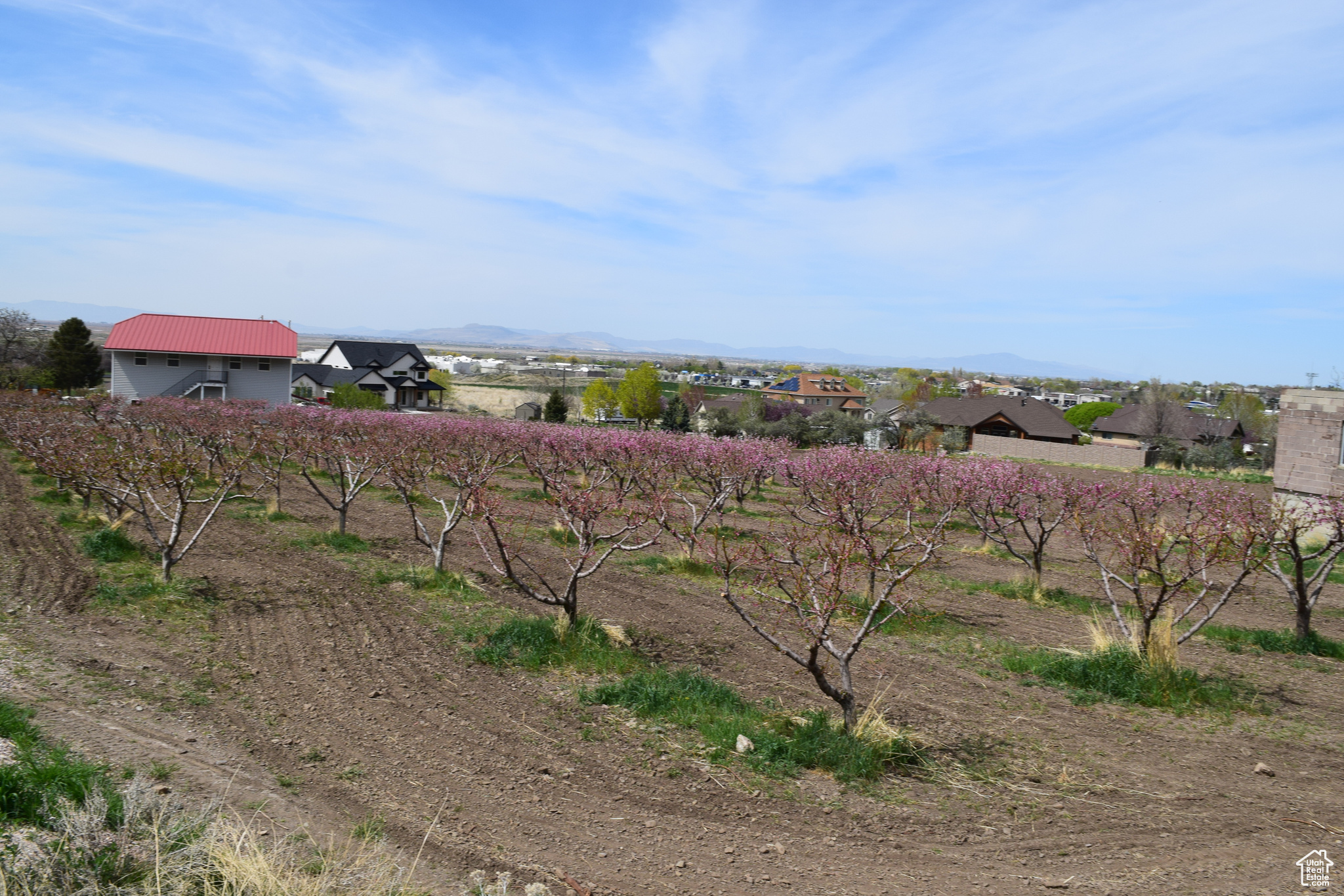 main property photo 77
