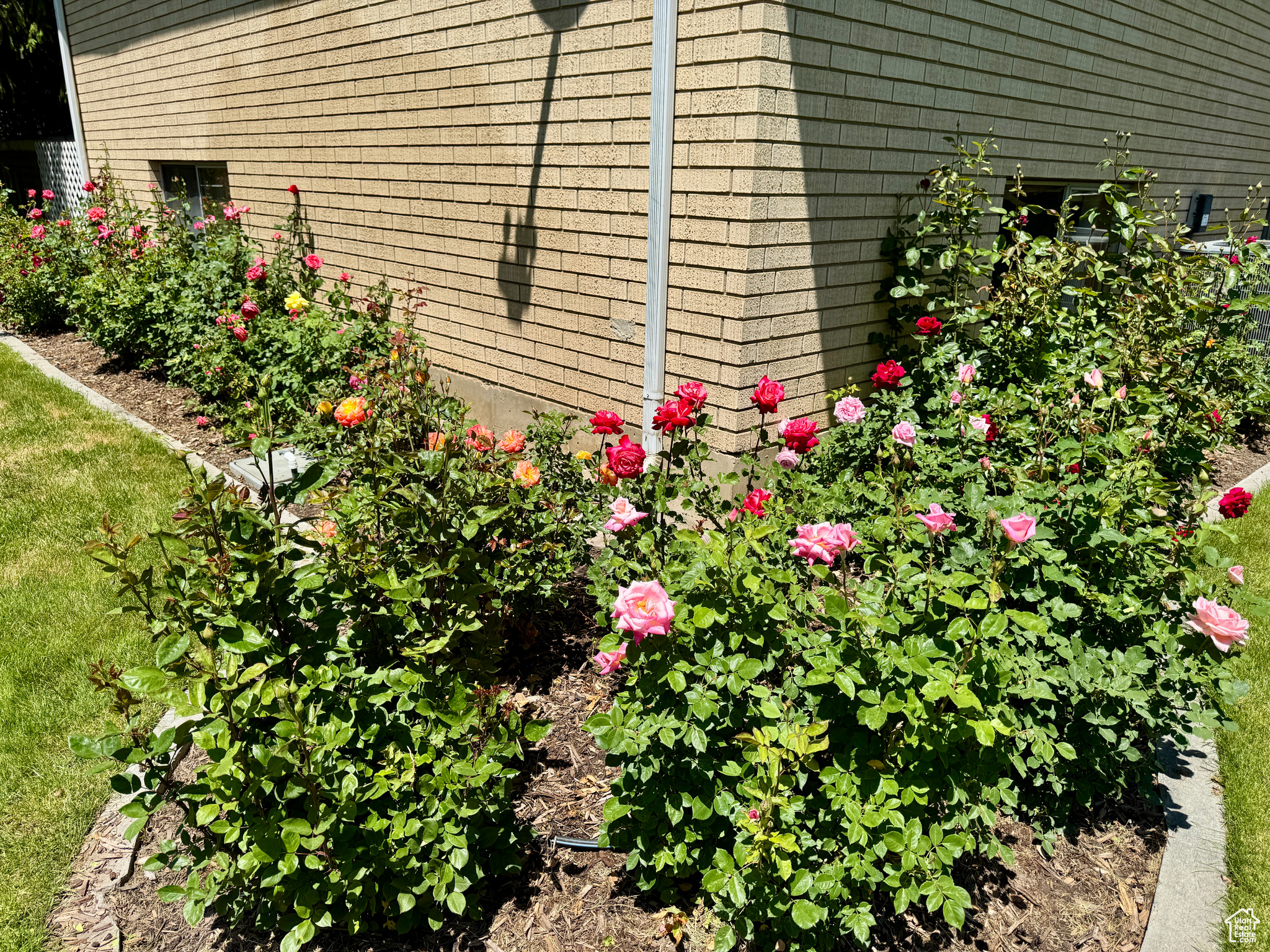 property viewer photo 35