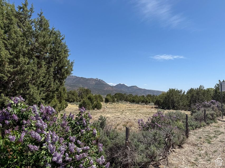main property photo 53