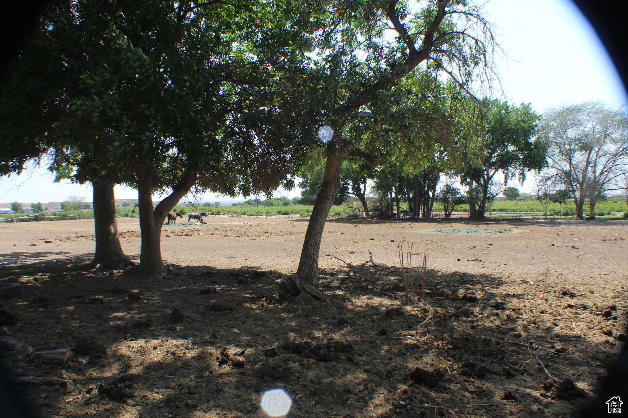 property viewer photo 39