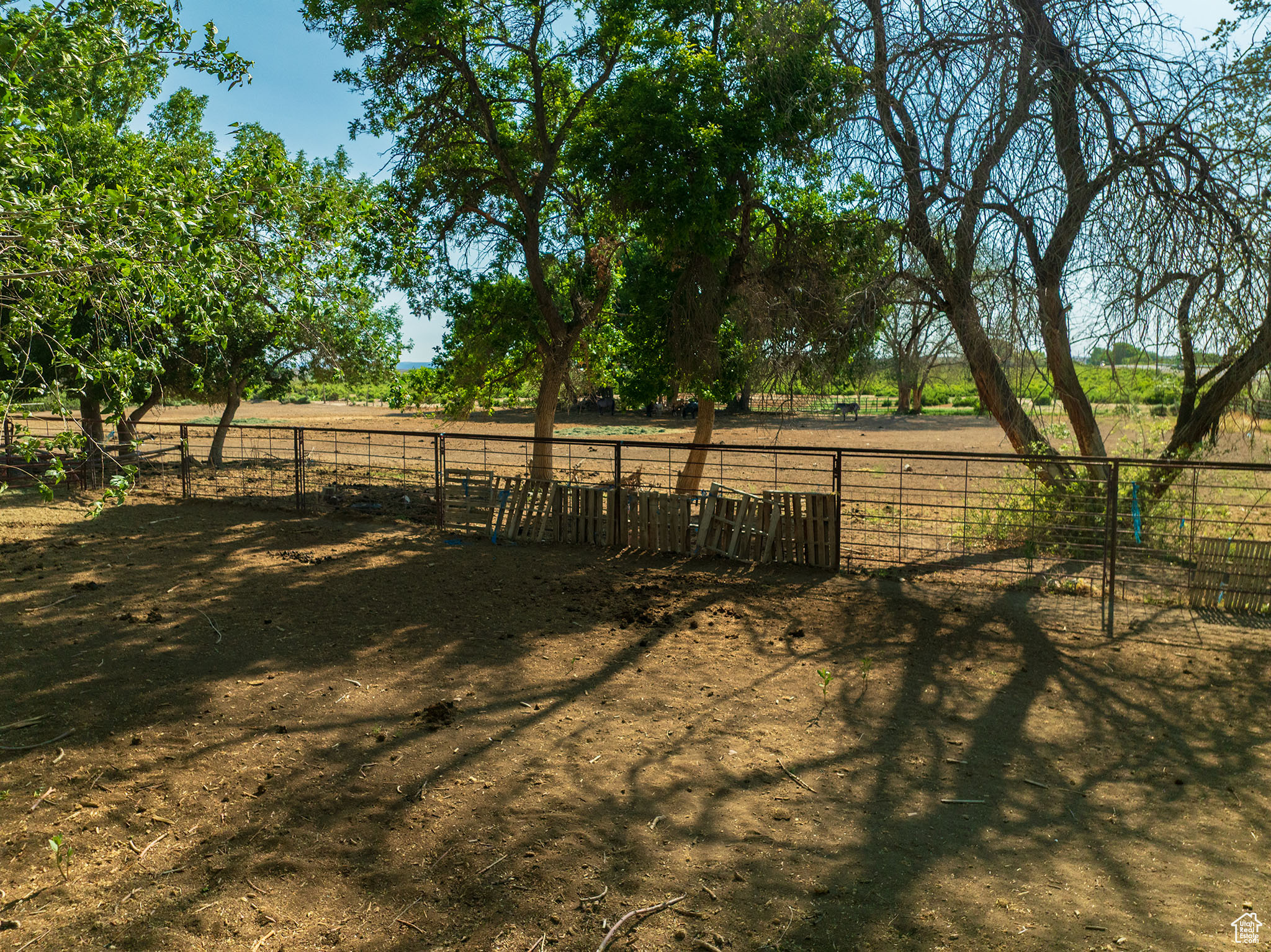 property viewer photo 56