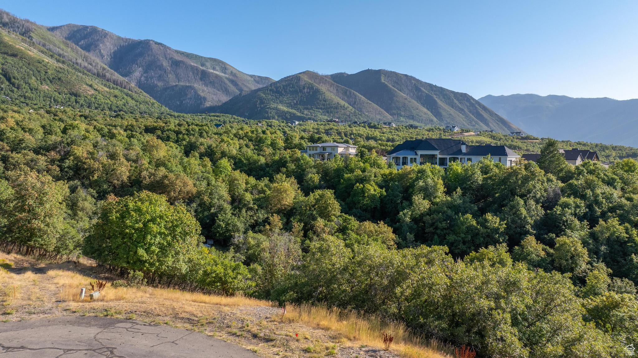 main property photo 16