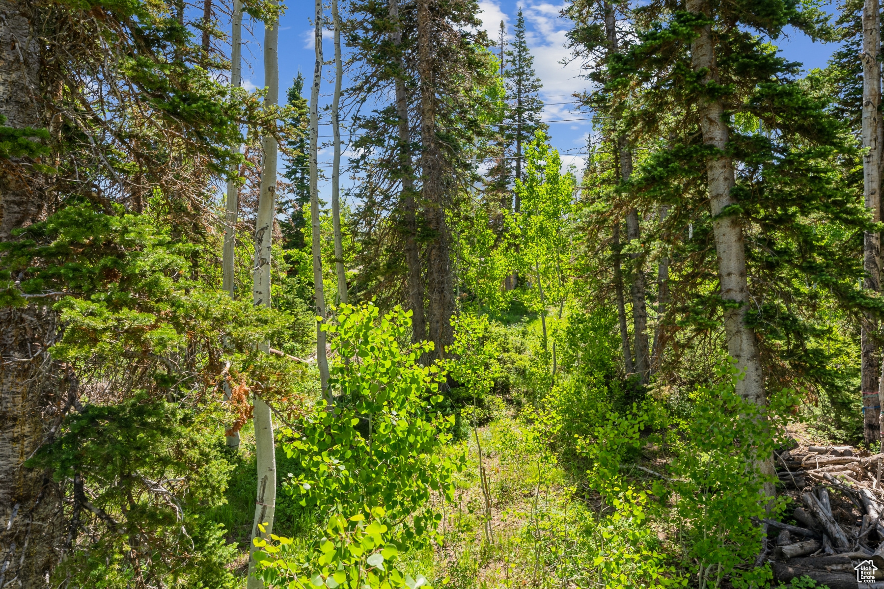 main property photo 19