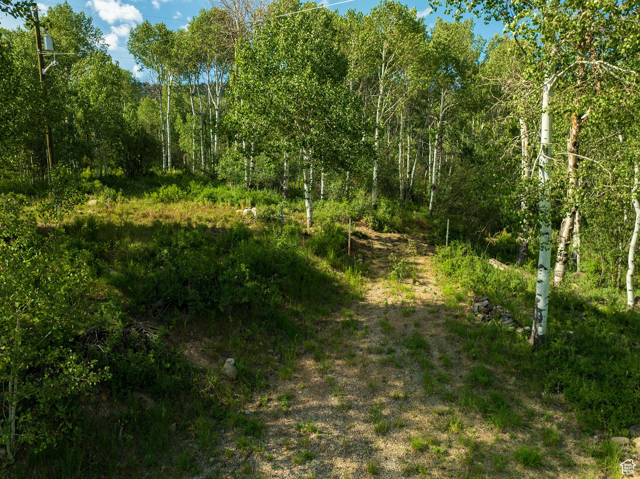 main property photo 44