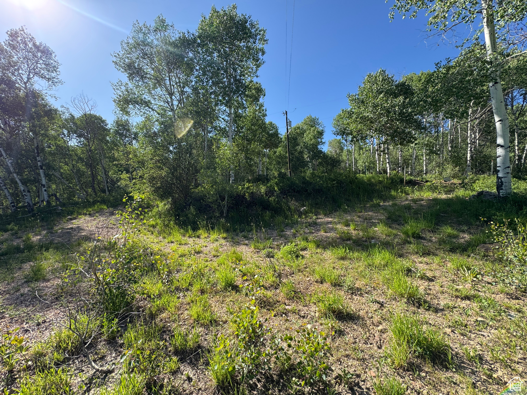 main property photo 47
